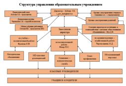 Структура управления образовательным учреждением